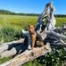 Barbara Holder - Facebook