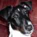 Barbara Holmquist - Facebook