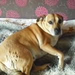 Barbara Holroyd - @holroydbarbara - Instagram