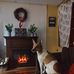 Barbara Holroyd - Facebook