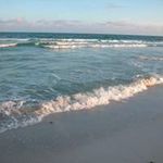 Barbara Faber Holsinger - @barbaraholsinger - Instagram