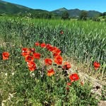 Barbara Holzer - @barbara.holzer.564 - Instagram