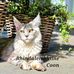 Barbara Holzer - Facebook