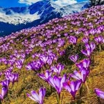 Barbara Holzer - @babsinnsbruck - Instagram