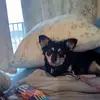 Barbara Holsinger - @barbara.holsinger - TikTok