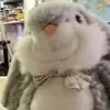 Barbara Homan - @barbara.homan - TikTok