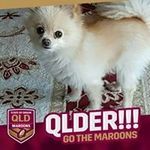 Barbara Ann Mundy - @barbarahonnery - Instagram