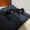 Barbara Zukas Honold - @barbarazukashonold - TikTok