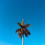 Barbara Hooker - @barbara.hooker.712 - Instagram