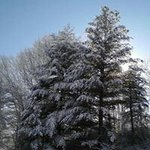 Barbara H. Hoosier - @barbarahoosier - Instagram