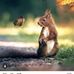 Barbara Hope - Facebook