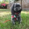 Barbara FL - @barbarahoppesch - TikTok