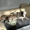 Barbara Hornbacher - @barbara.hornbache - TikTok