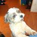 Barbara Horner - Facebook