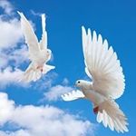 Barbara Horner - @barbara.horner.543 - Instagram