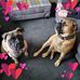 Barbara Horner - Facebook