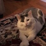 Barbara Horner Wright - @hulse.barbara - Instagram