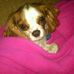 Barbara Horowitz - Facebook