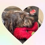 Barbara Horrell - @horrellbarb - Instagram
