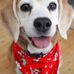 Barbara Hoskinson - Facebook