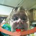 Barbara Hass - Facebook