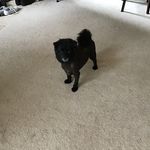 Barbara Murray - @barbara.hoss.murray - Instagram