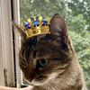 Barbara_House - @barbara_house - TikTok
