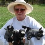 Barbara Westhoven - @barbarawesthoven - Instagram