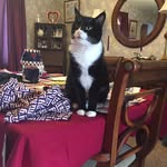 Barbara Howansky - @barbarahowansky1579 - Instagram