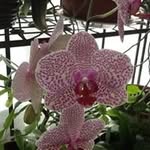 Barbara Howerton - @blth66 - Instagram