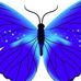 Barbara Howes - Facebook