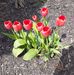 Barbara Howes - Facebook