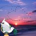 M Barbara Howes - Facebook