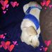 Barbara Howland - Facebook