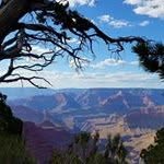 Barbara Hubbard - @barbara.hubbard11 - Instagram
