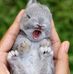 Barbara Hubert - Facebook