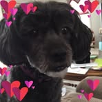 Barbara Huckle - Facebook