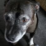 Barbara Huckle - Facebook
