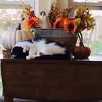 Barbara Huffer - @barbarahuffer - Instagram