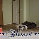 Barbara Huffman - @babs.shawshank64 - Instagram