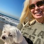 Barbara Hughes - @barbarashughes - Instagram