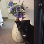 Barbara Huggins - @huggins3855 - Instagram