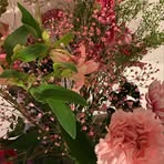 Barbara Bourdeaud'hui - Facebook