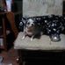 Barbara Huling - Facebook