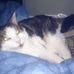 Barbara Humble - Facebook