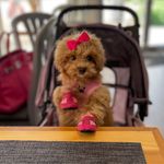 Barbara Gladys Humphries - @barbara_g_h - Instagram