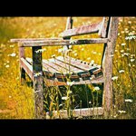 Barbara Humphries - @barbarahumphries - Instagram