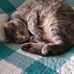 Barbara Hunsicker - Facebook