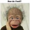 barbara_hunt68 - @barbara_hunt68 - TikTok