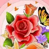 Barbara Hunt - @barbara.hunt66 - TikTok